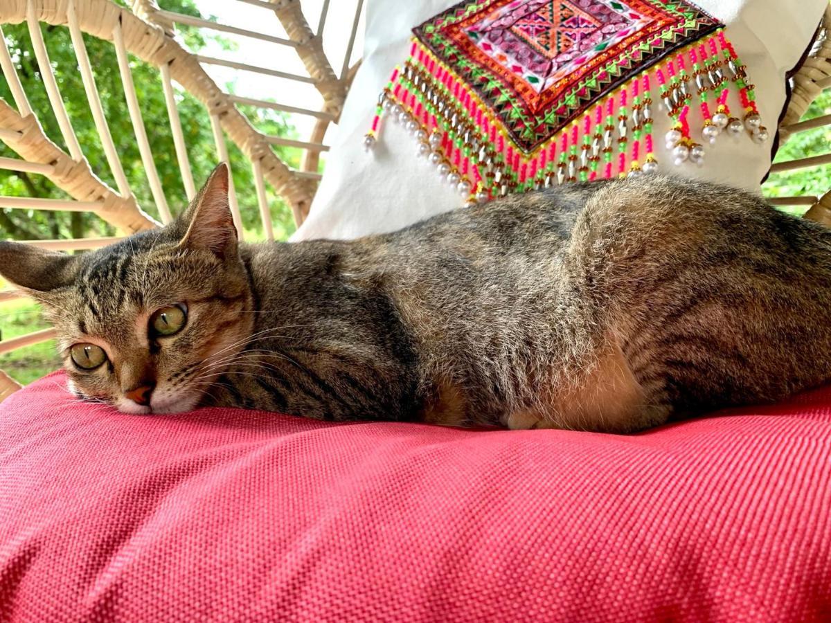 La Maison - Chiangmai Meteng Kültér fotó